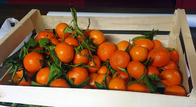 evenement-25-01-10-repas-fruits-de-mer-05